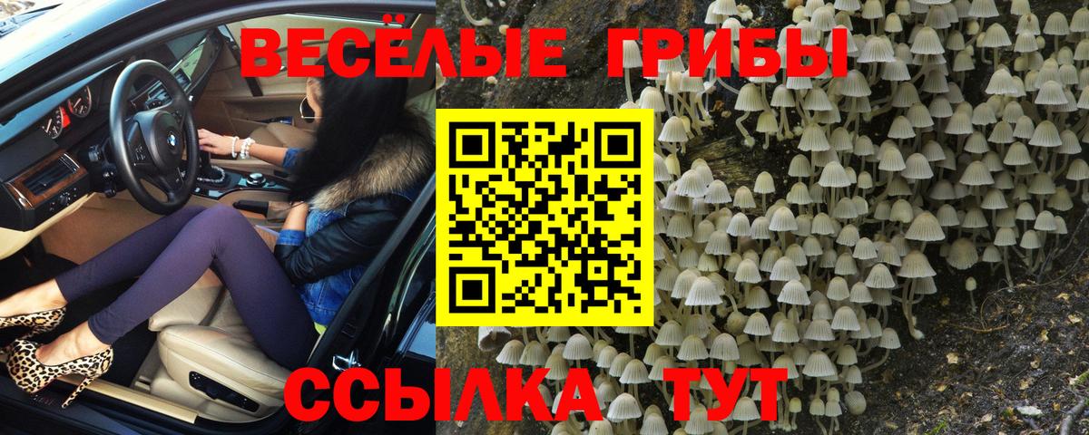 Губкинский  Галлюциногенные грибы мицелий  Вход с VPN 