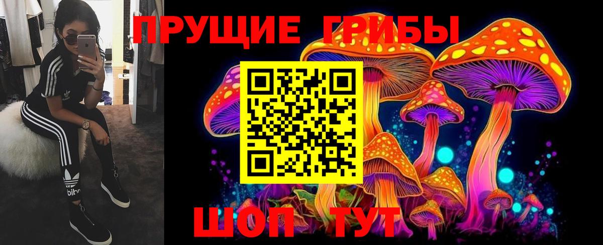 Псилоцибиновые грибы Psilocybine cubensis Губкинский